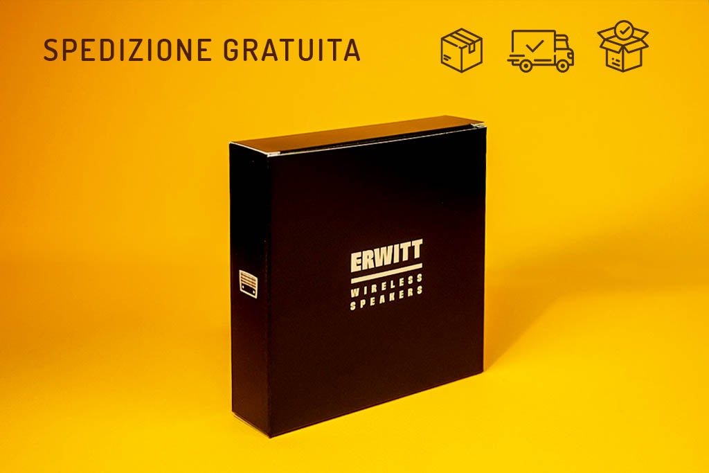 DUCASTEL CAPRICE (1955) BLUETOOTH SPEAKER