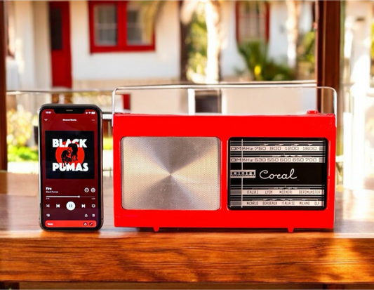 DBR CORAL (1970) SPEAKER BLUETOOTH PORTATILE