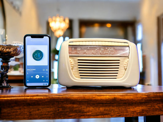 ALTAVOZ BLUETOOTH RADIOMARELLI FIDO RD155 (1955)