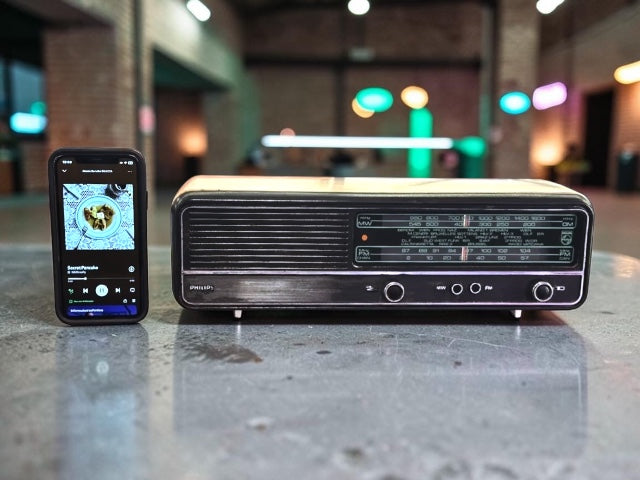 PHILIPS 19RB224 (1974) SPEAKER BLUETOOTH