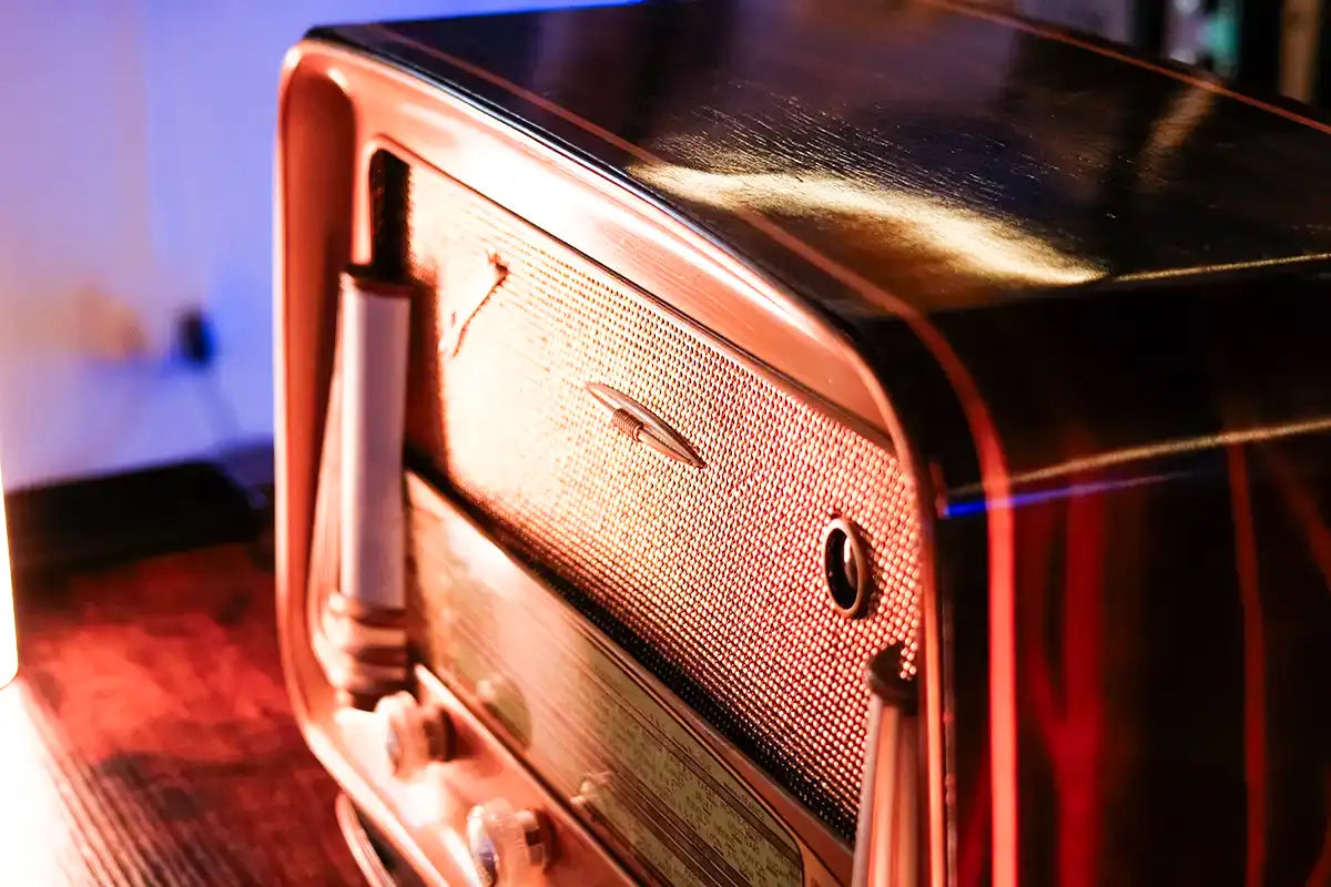 DUCASTEL TYPE NEPTUNE (1959) SPEAKER BLUETOOTH