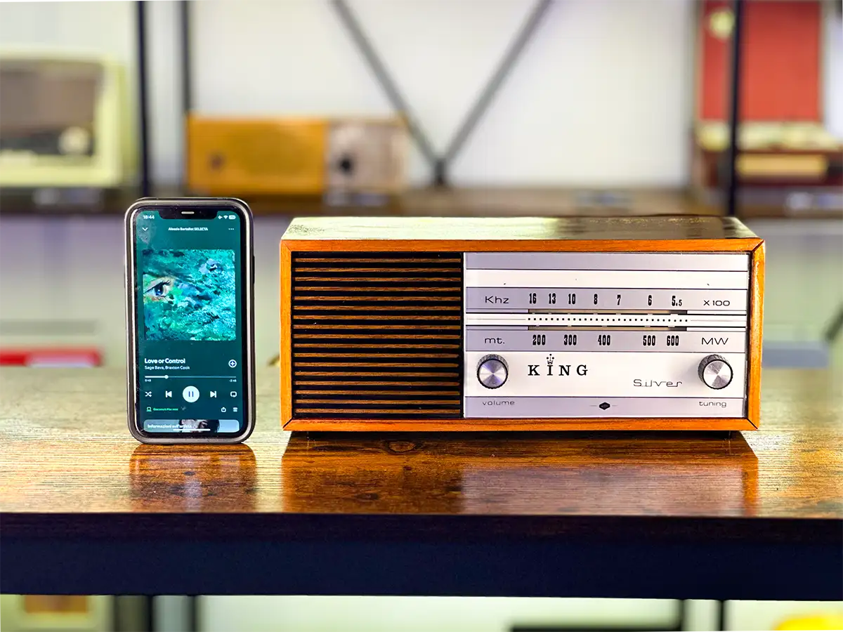 KING SILVER (1965) SPEAKER BLUETOOTH